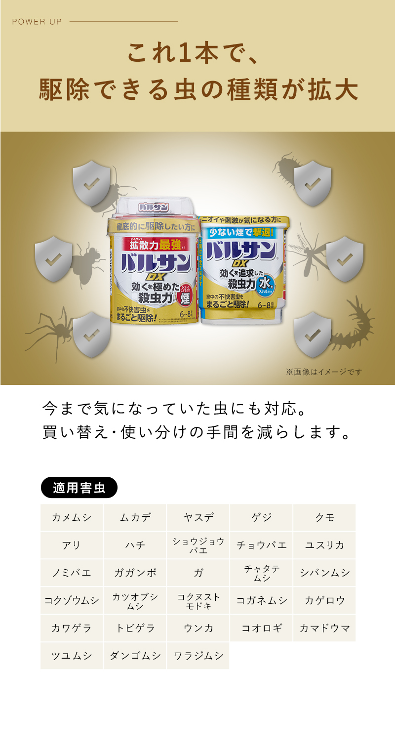 バルサンDX 燻煙剤