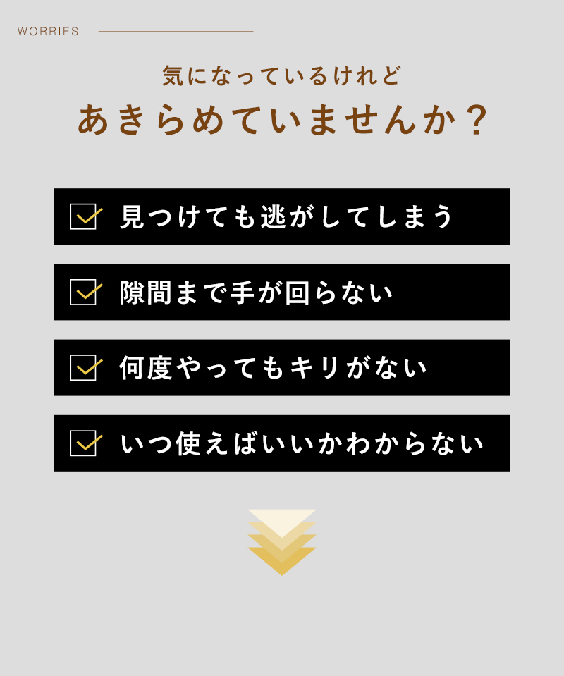 バルサンDX 燻煙剤