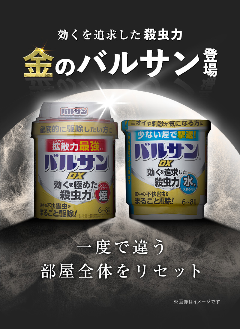 バルサンDX 燻煙剤