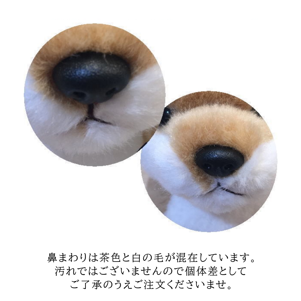 犬 雑貨 柴犬 リアル お座り 柴犬のぬいぐるみ 犬のぬいぐるみ