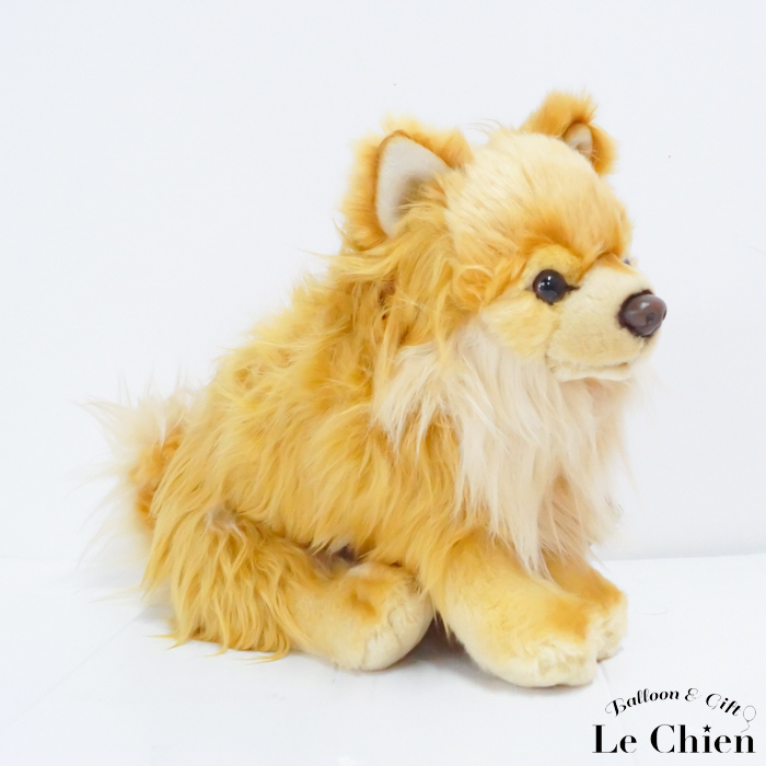 ポメラニアン ぬいぐるみ 犬 イヌ いぬ リアル 犬雑貨 犬のぬいぐるみ