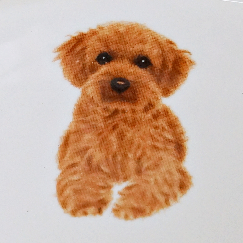 フードボウル 犬 トイプードル 日本製 わんコレ 餌 エサ入れ お皿