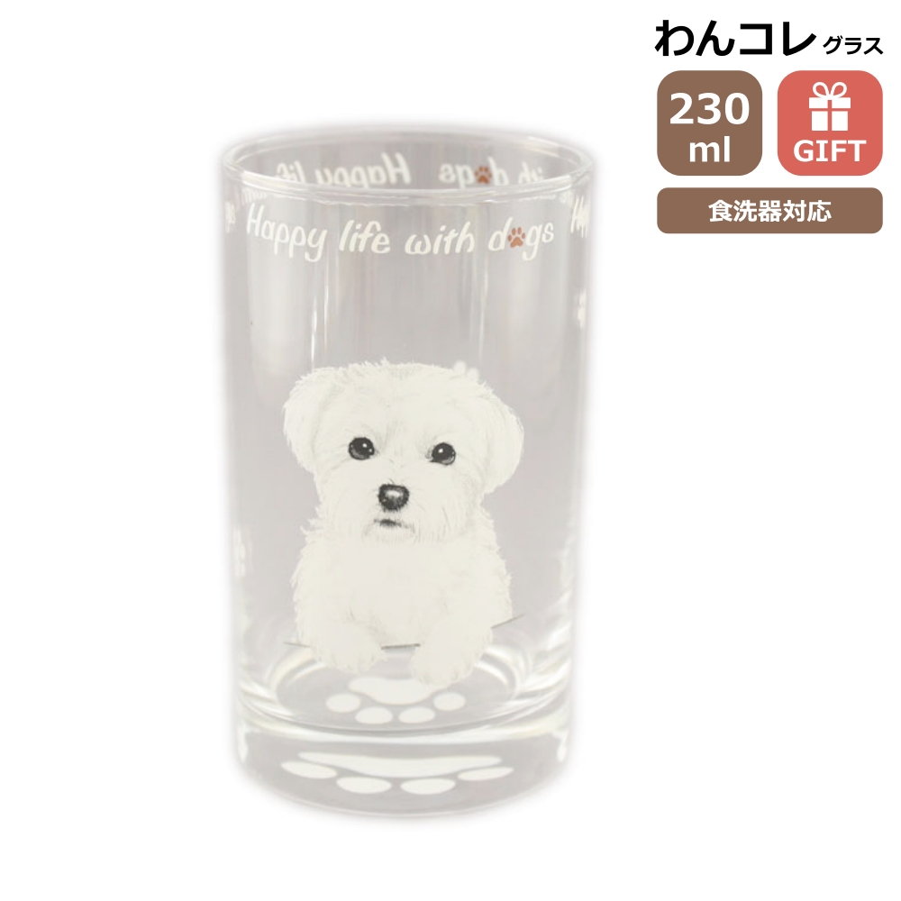 グラス タンブラー(マルチーズ)犬 ガラスのコップ 日本製 230cc わん