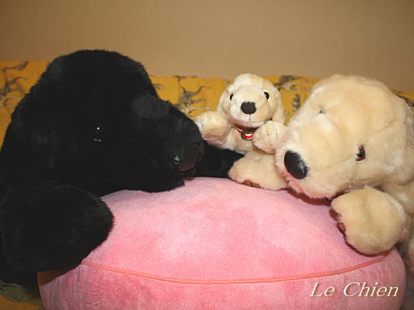 吉徳大光 ラブラドールレトリバー リアル イエロー 白 黒 犬 雑貨