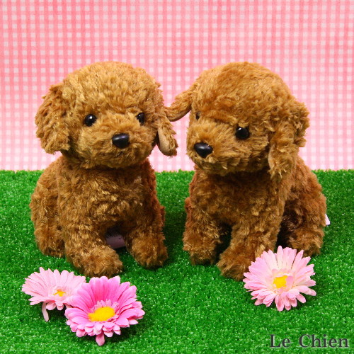 トイプードルのぬいぐるみ お座り スターチャイルド 犬 おもちゃ