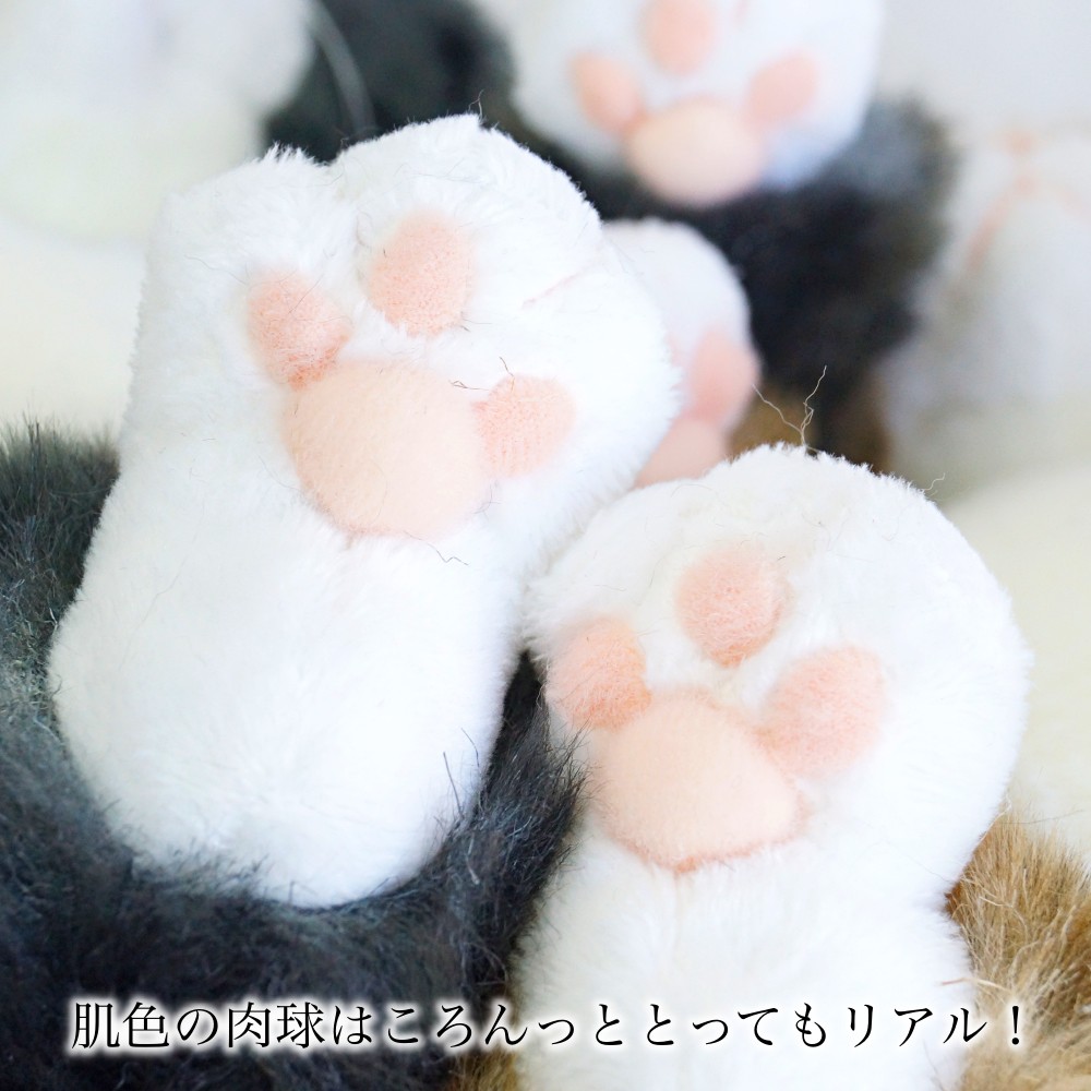 ぬいぐるみ 猫 茶トラ《ちびピン》 cuddly カドリー ねこのぬいぐるみ リアル ぬいぐるみ  爆買 猫グッズ 動物 アニマル 猫グッズ | CUDDLY（ファッション） | 06