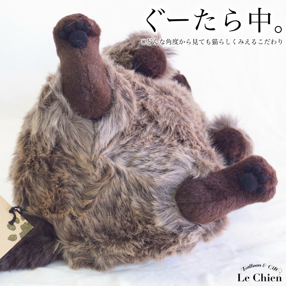 CUDDLY（カドリー） ぬいぐるみ 猫 チンチラ《ベル bell》 ねこの