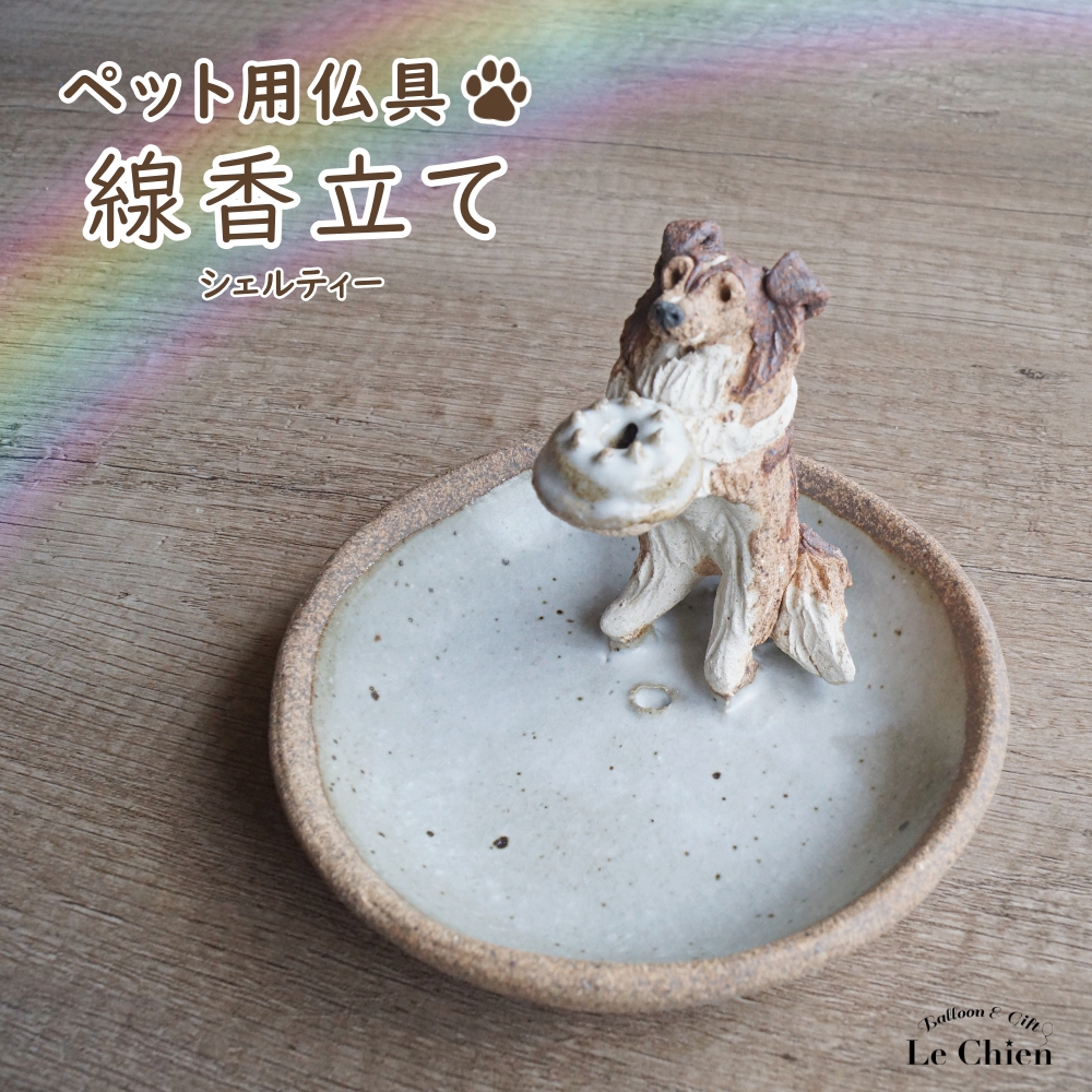 シェルティー シェットランド シープドッグ コリー セーブル ブルー