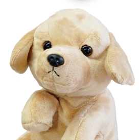 ハンドパペット 犬（ダックス・チワワ・パグ・プードル・フレブル