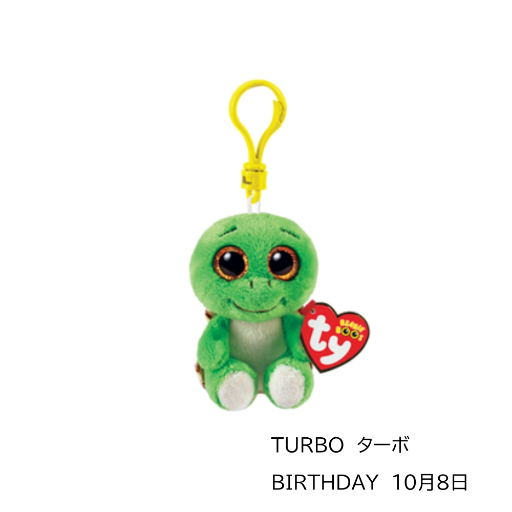 Ｔｙぬいぐるみ☆一体で５８０円です☆ 5040-42167v2.jpg