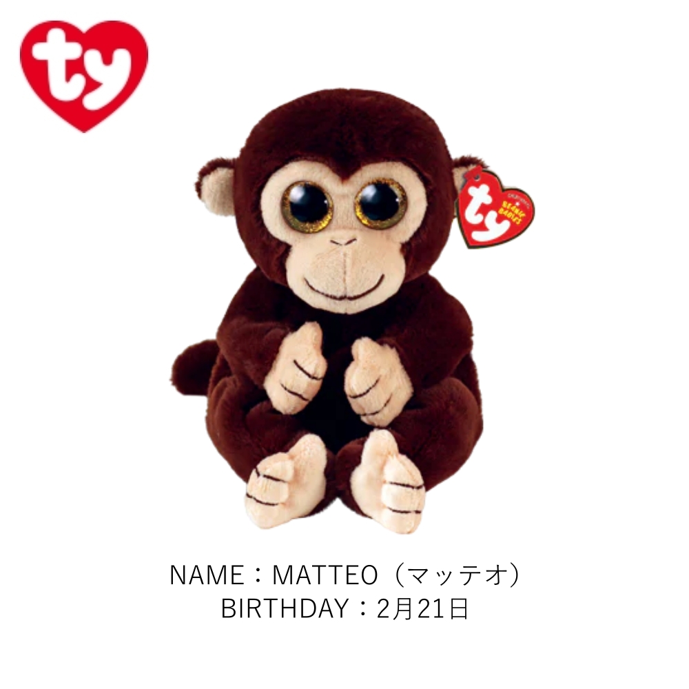 TY ぬいぐるみ ビーニーベリーズ Beanie Bellies ネコ カエル 犬 サル