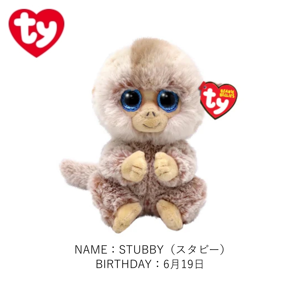 TY ぬいぐるみ ビーニーベリーズ Beanie Bellies ネコ カエル 犬 サル