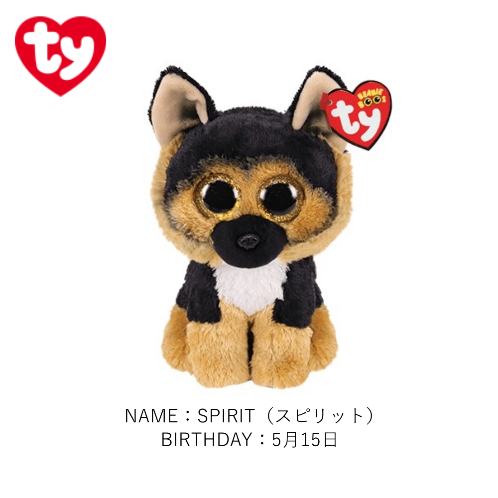Ty Beanie Babies Panda - Niska cena na Allegro