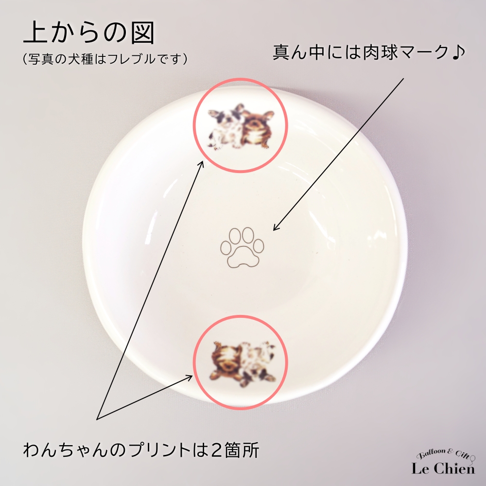 フードボウル 犬 マルチーズ 日本製 陶器 食べやすい 餌 エサ 餌入れ