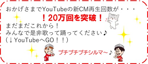 プチシルマのレダ 公式通販 - Yahoo!ショッピング