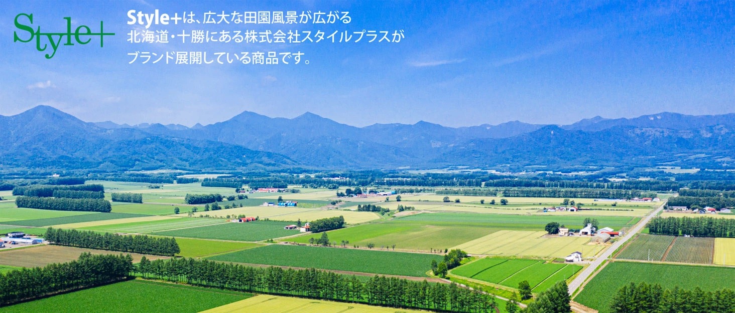 株式会社スタイルプラス