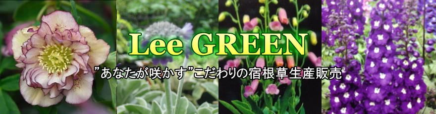 lee green ロゴ