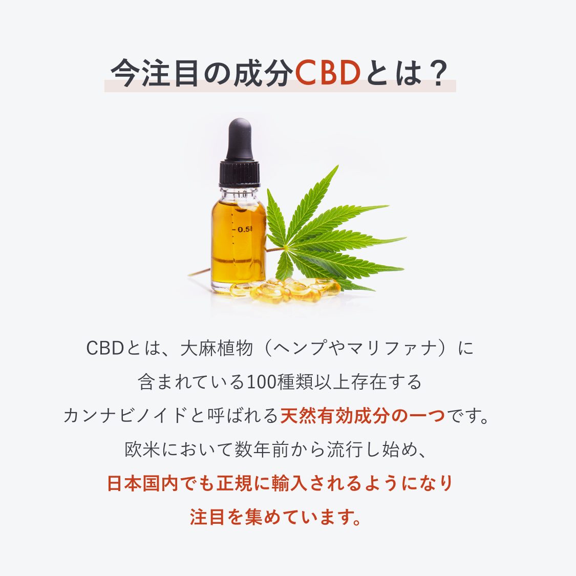 25％OFFクーポン有】CBD オイル 24% 2400mg 10ml フルスペクトラム ファーマヘンプ 高濃度 pharma hemp : cbd- oil-2400-pharmahemp : Leep Yahoo!店 - 通販 - Yahoo!ショッピング