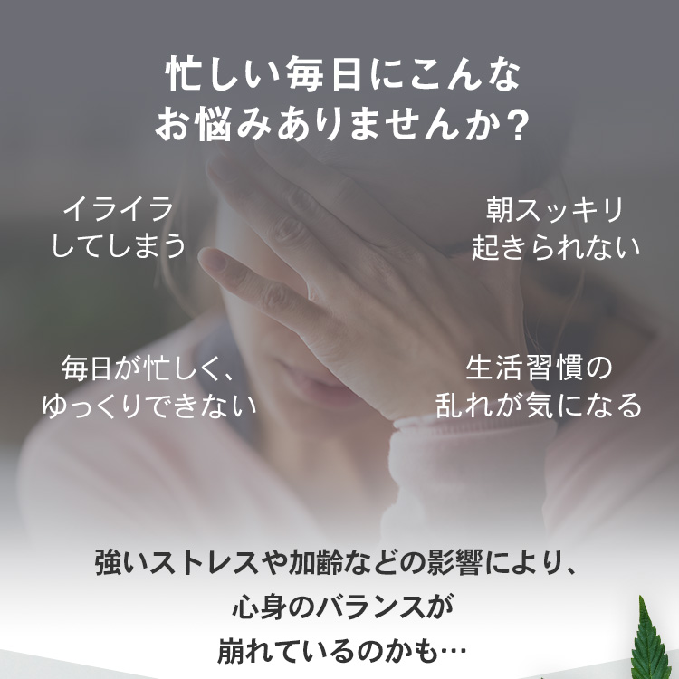 CBD お試しトライアルセット CBDオイル 200mg + CBDカプセル 300mg