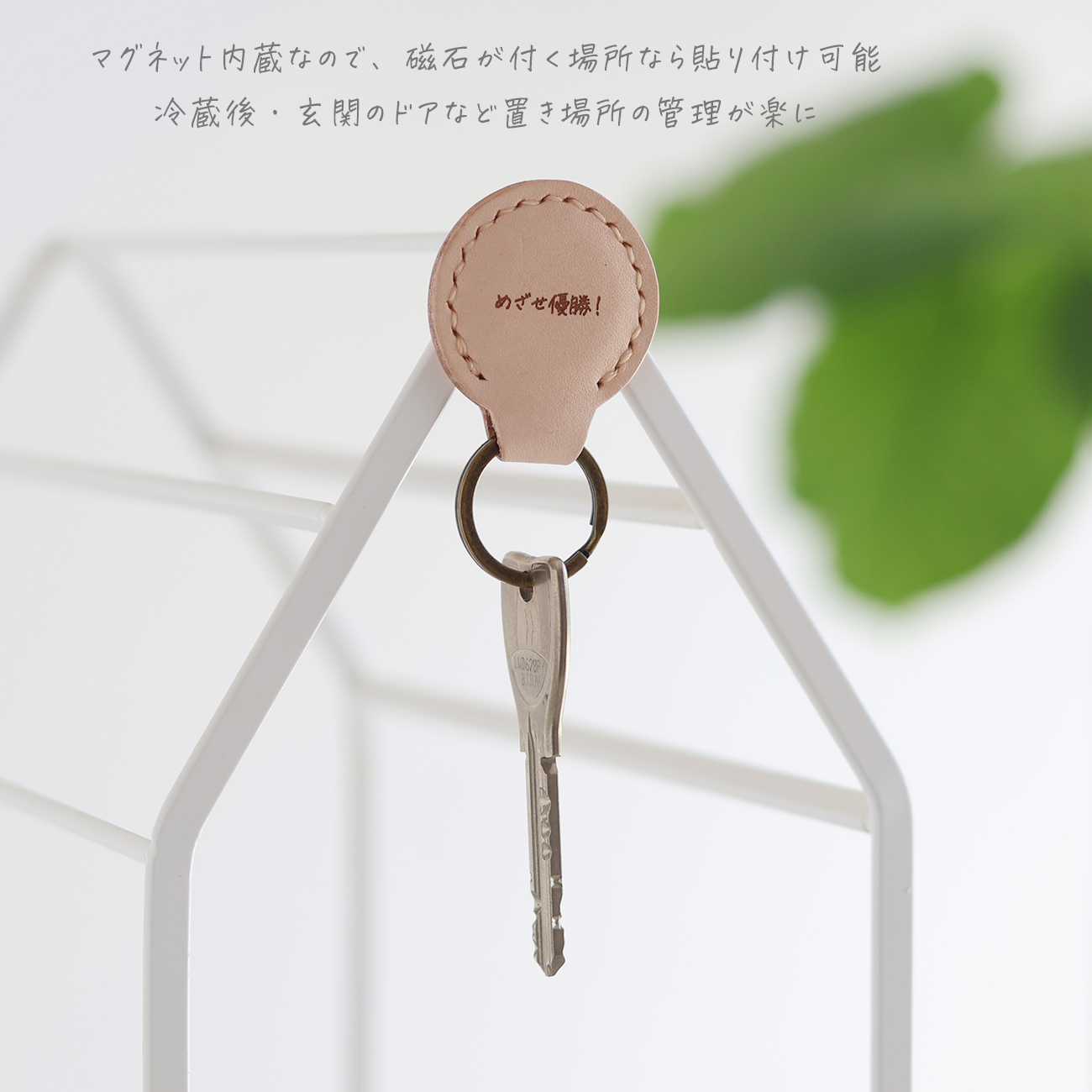 lf-019-all2.jpg