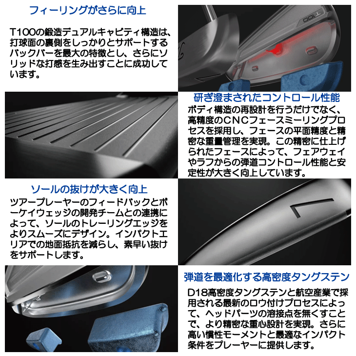 Titleist（タイトリスト） 2023 T100 ダイナミックゴールド S200