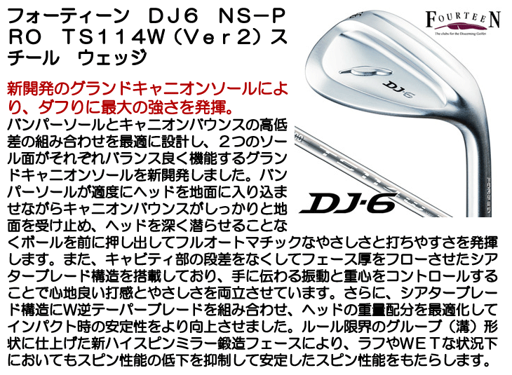 FOURTEEN（フォーティーン） DJ6 N.S.PRO TS114W Ver2スチール