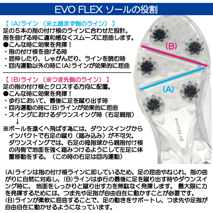 アクセル ゴルフシューズ メンズ EVO FLEX-S3 スパイクレス ホワイト