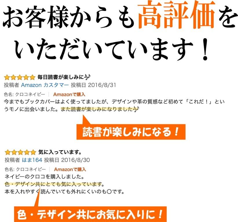レビュー