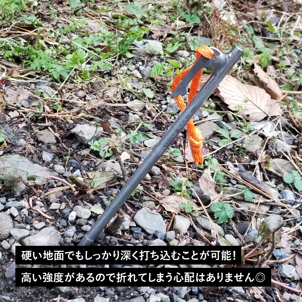 Amazon.co.jp: ホールアース（Whole Earth） チタニウム