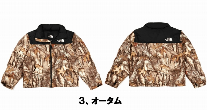 THE NORTH FACE ザ・ノースフェイス/THE FACE1996 RETRO NUPTSE