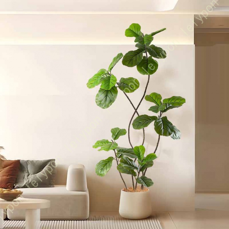 フィカス アルテシマのおすすめ人気商品一覧 通販 - Yahoo!ショッピング