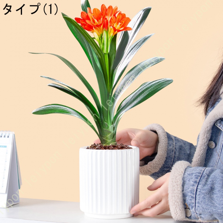 テラコッタ鉢 植木鉢 多肉植物鉢 北欧 底に水抜き穴あり シンプル 縦縞 鉢植え おしゃれ 円形 ヨーロッパ調 小物収納 ガーデニング用品 庭インテイア適用 置物 |  | 01