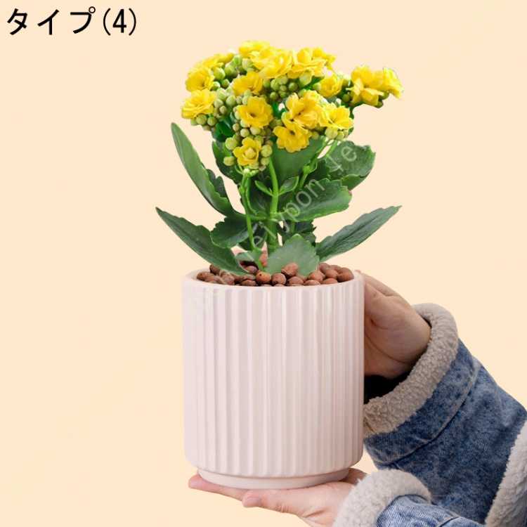 テラコッタ鉢 植木鉢 多肉植物鉢 北欧 底に水抜き穴あり シンプル 縦縞 鉢植え おしゃれ 円形 ヨーロッパ調 小物収納 ガーデニング用品 庭インテイア適用 置物 |  | 04