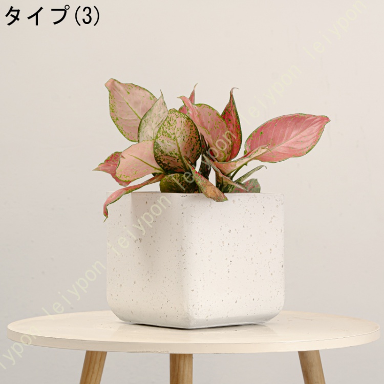 植木鉢 鉢植え 北欧 セメント 排水穴付き 通気性 方形 おしゃれ クリエイティブ セメント植木鉢 四角形 大口径 室内 インテリア シンプル ガーデン 観葉植物_3
