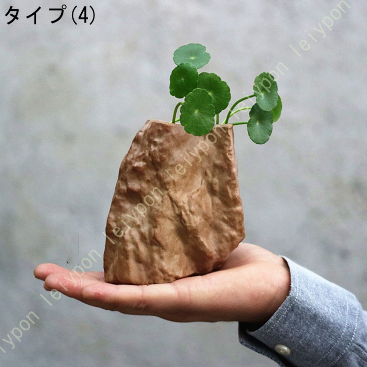 多肉植物鉢 サボテン鉢 鉢植え セラミック 水鉢 水培 排水穴なし