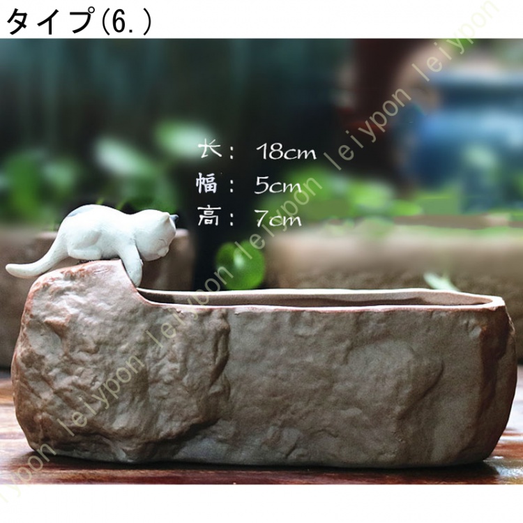 多頭型サボテン 陶器鉢付き 多肉植物鉢 サボテン鉢 鉢植え セラミック 水鉢 水培 排水穴なし 陶器