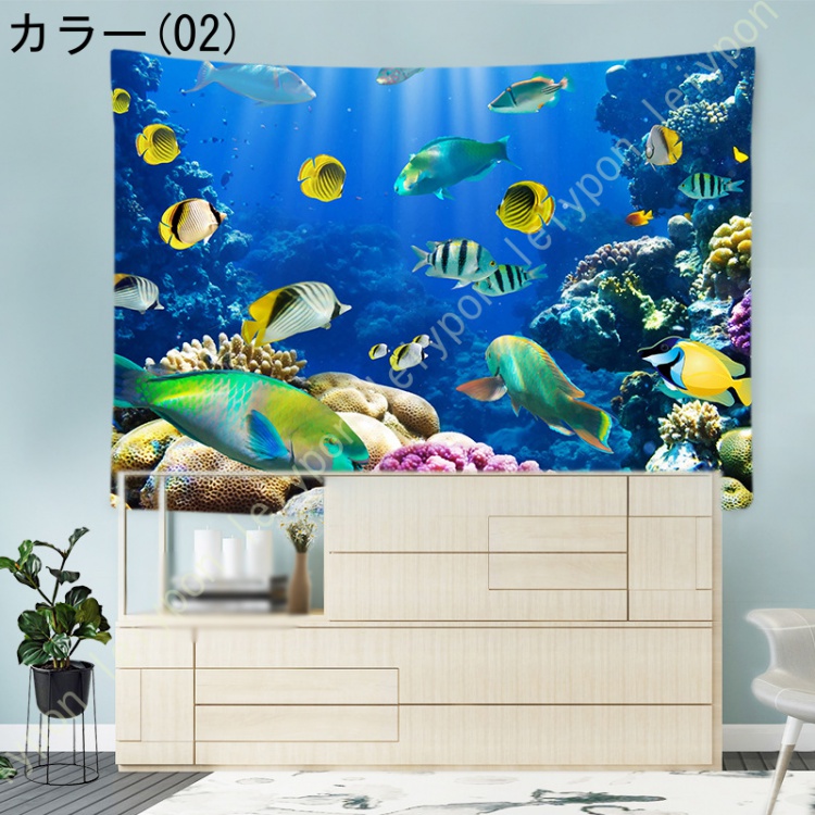 熱帯魚 シャークの商品一覧 通販 - Yahoo!ショッピング