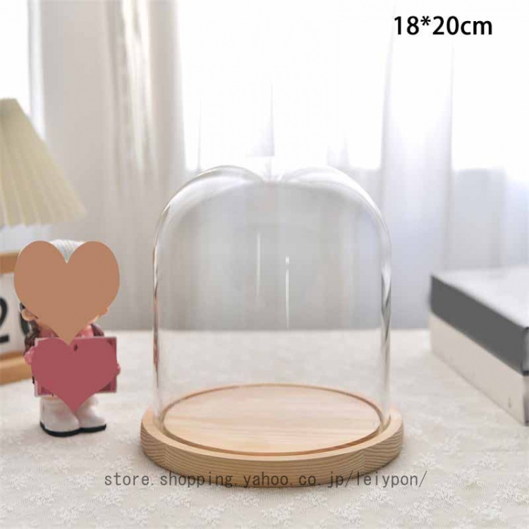 透明ガラスドーム 円柱 大きい 大型 コレクション ジュエリー展示