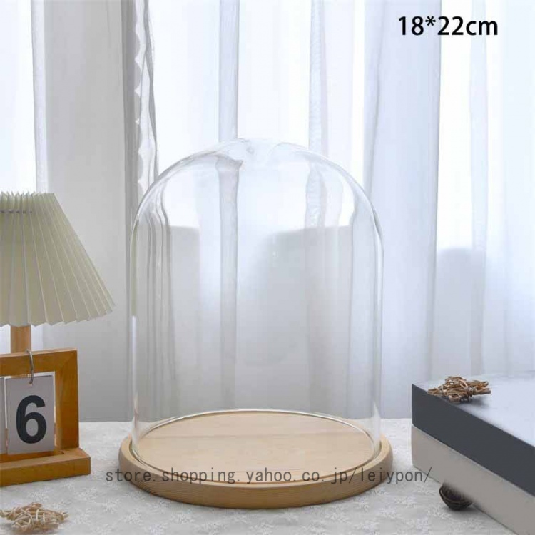 透明ガラスドーム 円柱 大きい 大型 コレクション ジュエリー展示