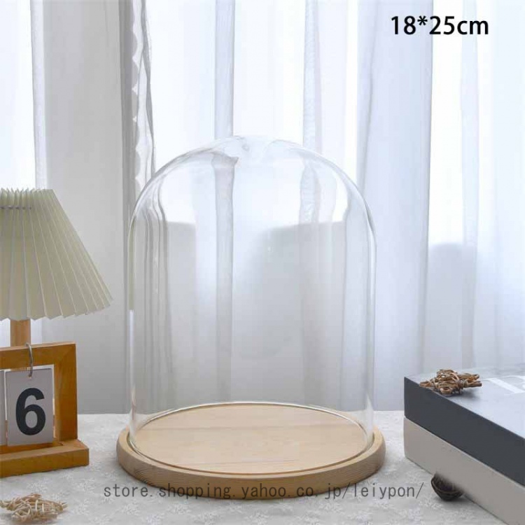 透明ガラスドーム 円柱 大きい 大型 コレクション ジュエリー展示