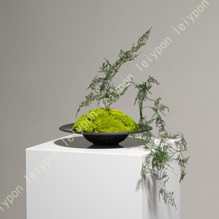 人工盆栽 フェイクグリーン 卓上 人工苔 和モダン 鉢植え インテリア