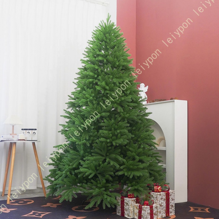 クリスマスツリー モミの木 本物のおすすめ人気商品一覧 通販 - Yahoo