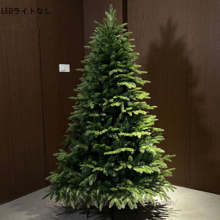 モミの木 本物（苗木、植木） | 花、ガーデニング のおすすめ人気商品