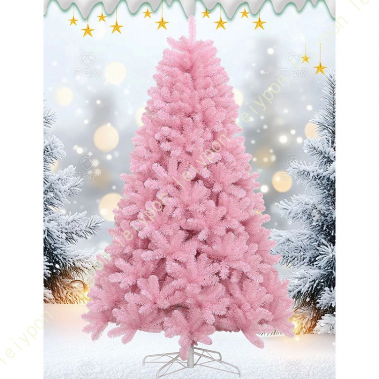 もみの木 苗木のおすすめ人気商品一覧 通販 - Yahoo!ショッピング