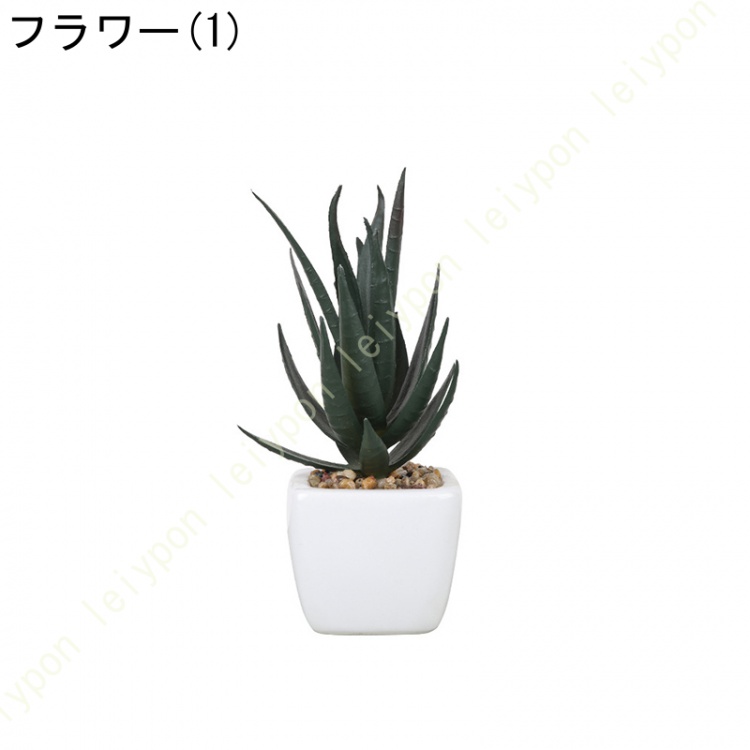 多肉植物鉢 ミニサボテン鉢 可愛い 小さい 観葉植物 植木鉢
