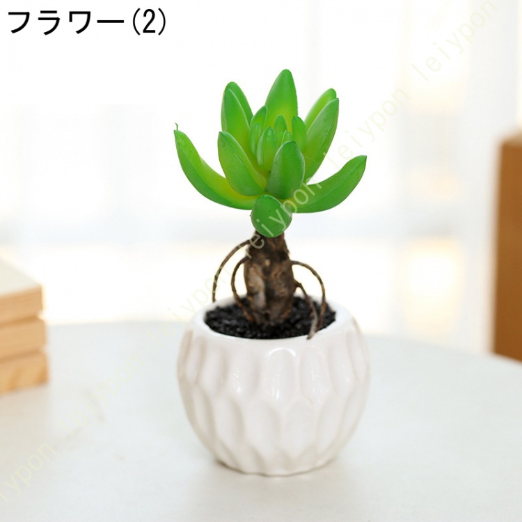 多肉植物鉢 ミニサボテン鉢 可愛い 小さい 観葉植物 植木鉢 インテリア 飾り フェイクグリーン 人工観葉植物 手入れのいらない フェイク小型 小物  水やり不要