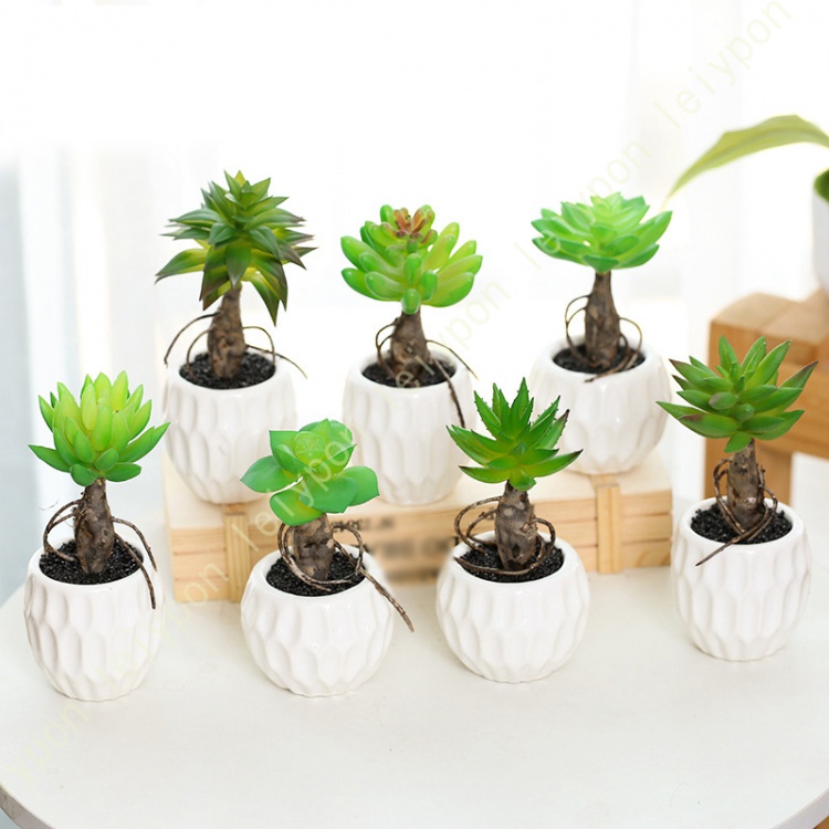 ミニチュア猫島アイランドフェイクガーデン、ハンドメイド、1点物、多肉植物サボテン ミニチュア猫島アイランドフェイクガーデン、ハンドメイド、1点