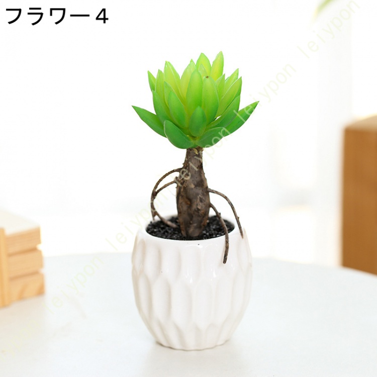 植木鉢 多肉植物 可愛い おしゃれ 盆栽 サボテン ミニ 家庭菜園