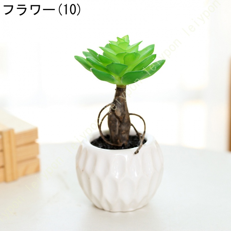多肉植物鉢 ミニサボテン鉢 可愛い 小さい 観葉植物 植木鉢