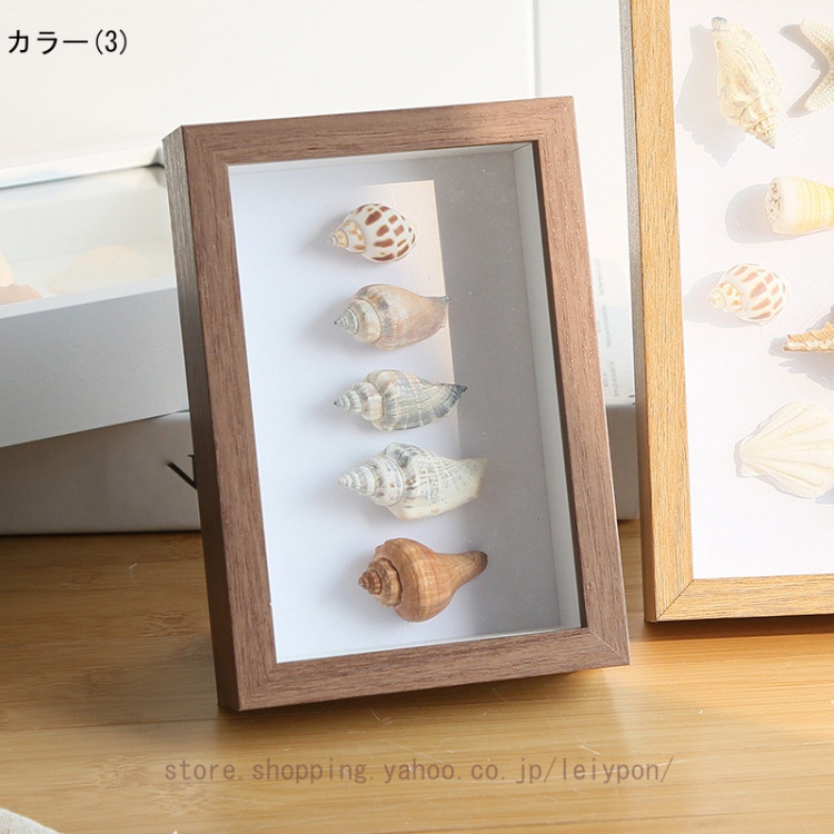貝殻標本　詰め合わせ⑦ 61rB3L1qywL._AC_SY200_QL15_.jpg